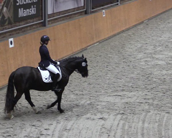 Reitturnier Güstrow/Cavallo Arena  2024