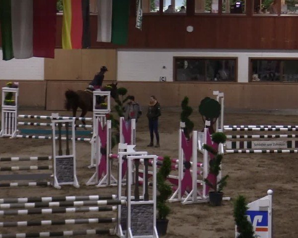 Reitturnier Hövelhof 2024
