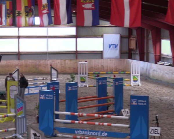 Reitturnier Süderlügum 2024