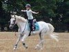 dressage horse Bonita 273 (German Riding Pony, 1996, from Brillant)