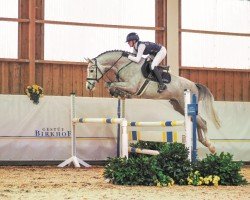 stallion Birkhof's Arezzo Man (German Sport Horse, 2019, from Arezzo VDL)