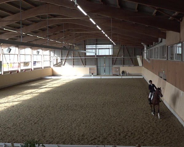 Reitturnier Uster 2024