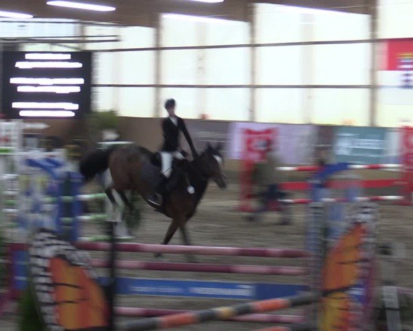 Reitturnier Pausin 2024