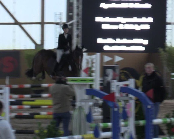 Reitturnier Pausin 2024