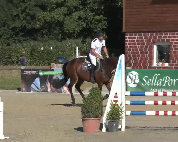 Ennigerloh-Neubeckum 2013