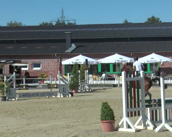 Ennigerloh-Neubeckum 2013