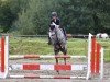 broodmare Mia Bellissima L (German Riding Pony, 2016, from SF Detroit)