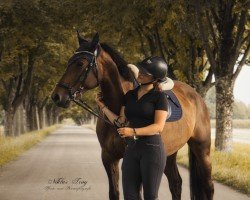Springpferd Miss Maple 4 (Lettisches Warmblut, 2019, von Cesano II)