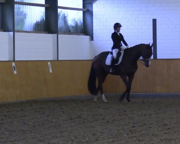 Reitturnier Frechen-Bachem 2024