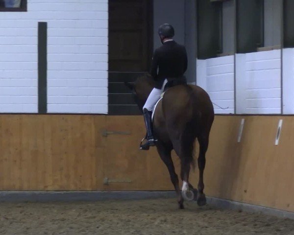 Reitturnier Frechen-Bachem 2024