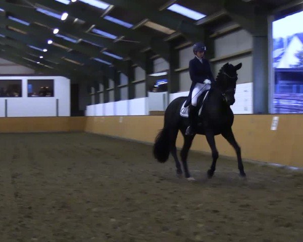Reitturnier Frechen-Bachem 2024