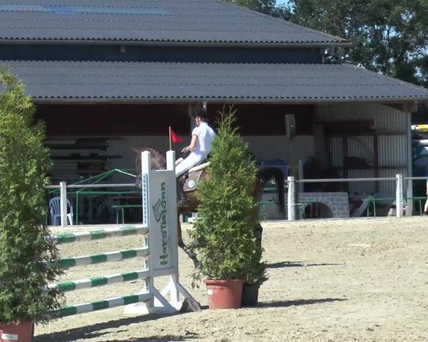 Ennigerloh-Neubeckum 2013