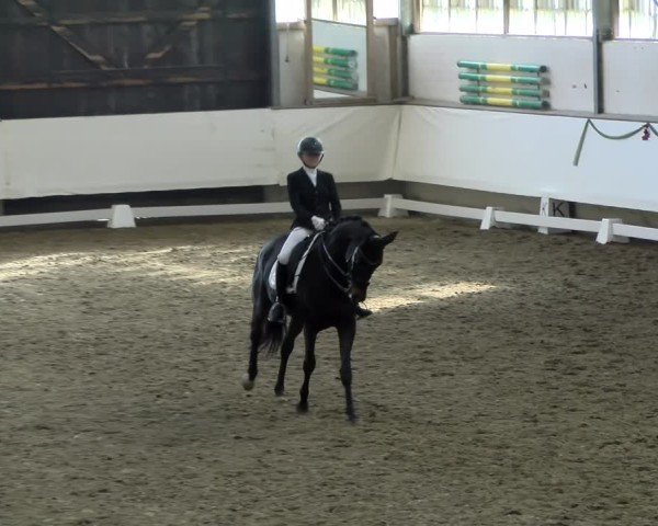 Reitturnier Marl, Hof Rohmann 2024