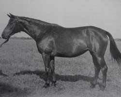 broodmare Tapferkeit (Trakehner, 1934, from Gauss)