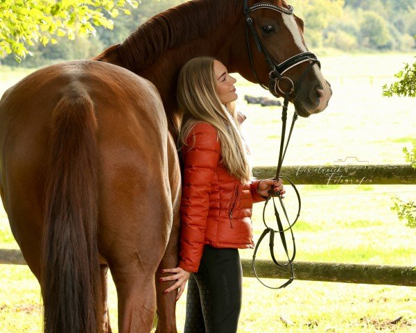 dressage horse Good Girl Belanta (German Sport Horse, 2018, from Belami)