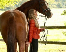 Dressurpferd Good Girl Belanta (Deutsches Sportpferd, 2018, von Belami)