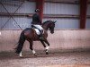 dressage horse Cin-Cin Simona (Trakehner, 2019, from Schwarzgold)