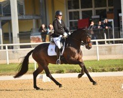 dressage horse Moarhof's Wyanet (Austrian Warmblood, 2016, from Fürsten-Look)