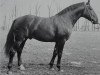 stallion Feierabend 797 (Hanoverian, 1957, from Feiertag III)