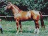 stallion Leuchtfeuer 2602 (Hanoverian, 1971, from Lugano I 3963)