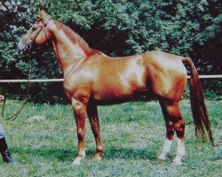 stallion Leuchtfeuer 2602 (Hanoverian, 1971, from Lugano I 3963)