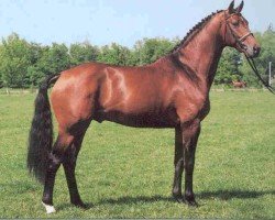 stallion Landor S (Oldenburg, 1991, from Landadel)