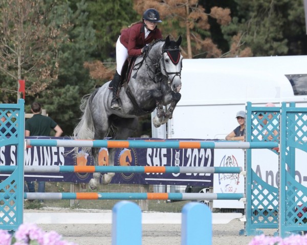 jumper Good Cornet Mouilloir (Selle Français, 2016, from Cornet Obolensky)