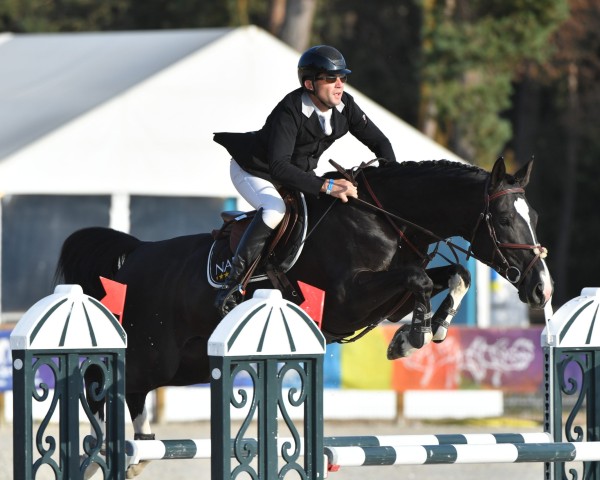 jumper Gorille Doral (Selle Français, 2016, from Galopin du Biolay)