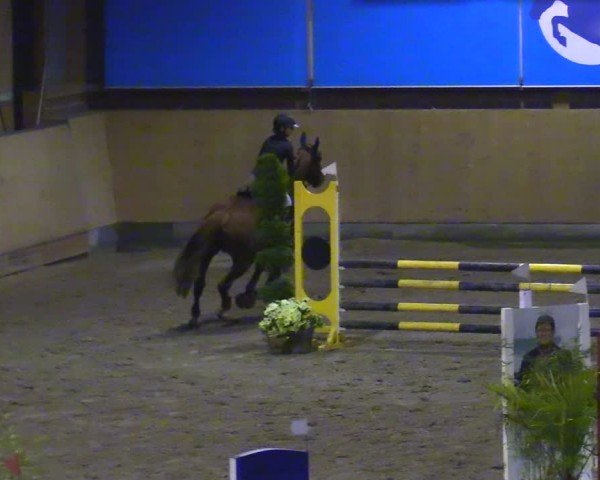 Reitturnier Osterholz-Scharmbeck 2024
