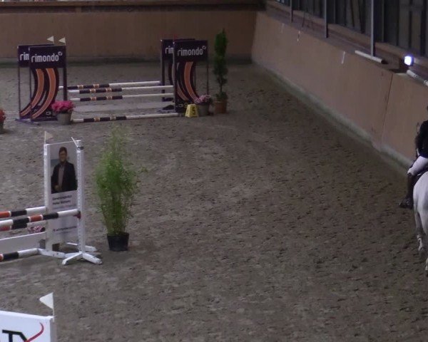 Reitturnier Osterholz-Scharmbeck 2024
