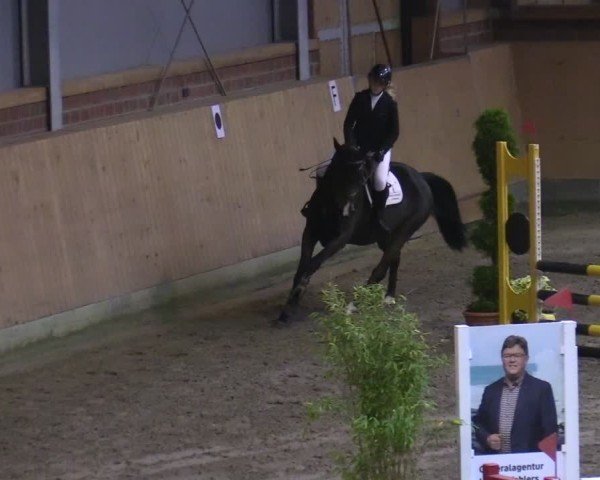 Reitturnier Osterholz-Scharmbeck 2024