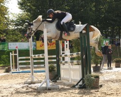 jumper Riverview Lady (Connemara Pony, 2018, from Harp King)