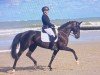 dressage horse Belle Noire 3 (Hanoverian, 2016, from Bon Coeur)