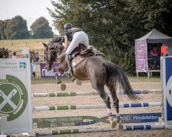 broodmare Jennie Z (Zangersheide riding horse, 2006, from Jumpilot)