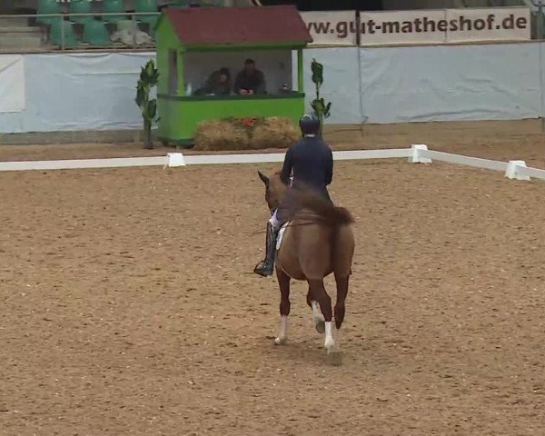 Reitturnier Kreuth/Opf. 2021