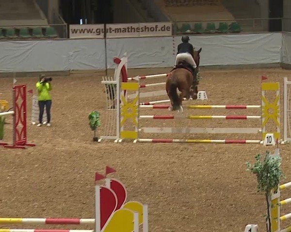 Reitturnier Kreuth/Opf. 2024