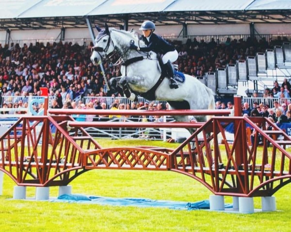 jumper CREEVAGH CARISMA (Irish Sport Horse, 2010, from Camiro de Haar Z)