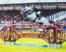 jumper Creevagh Carisma (Irish Sport Horse, 2010, from Camiro de Haar Z)