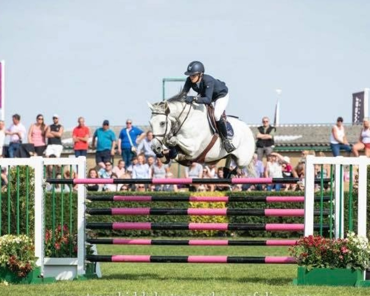 jumper Wet Wet Wet (KWPN (Royal Dutch Sporthorse), 2003, from Mr Blue)