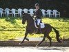 dressage horse Fleurie N (Westphalian, 2020, from Fürst Toto)