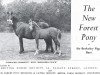 broodmare Deeracres Pierrette (New Forest Pony, 1940, from Forest Horse)