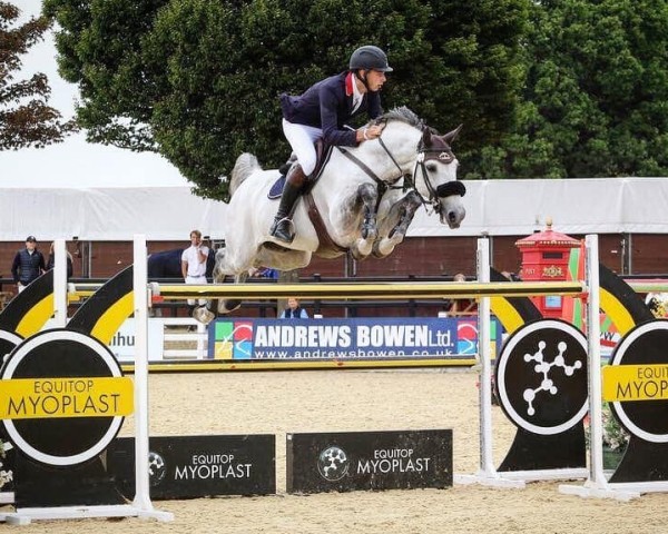 jumper Equine America Gunner (Belgian Warmblood, 2006, from Winningmood van de Arenberg)