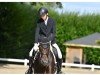 dressage horse Divine Dream (Rhinelander, 2012, from Demirel)