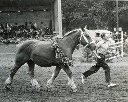 broodmare Jutta von Neulohoff (Rhenish-German Cold-Blood, 1939, from Burwald RS 997)