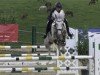 Springpferd Simply the Best 43 (Belgisches Warmblut, 2018, von Shadowfax 111)