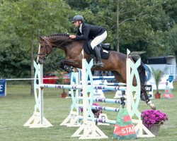 jumper Kamilla W (Holsteiner, 2017, from Million Dollar)