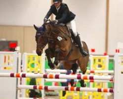 jumper Cavalito (Holsteiner, 2009, from Calido I)