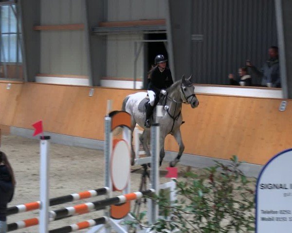 Reitturnier Münster-Amelsbüren 2024
