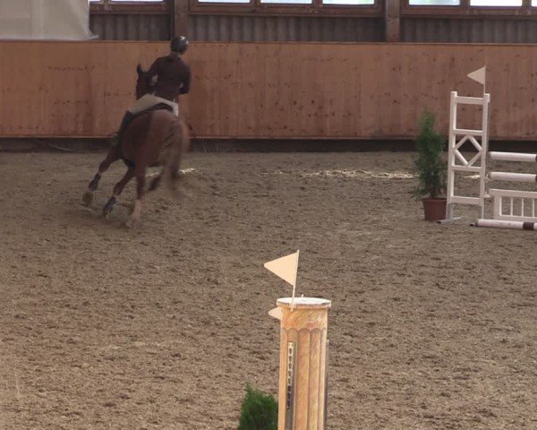 Reitturnier Fehraltorf 2024