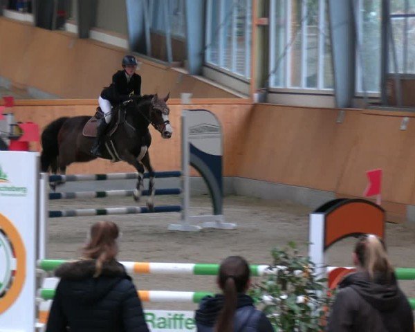 Reitturnier Münster-Amelsbüren 2024